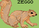 Orava ja teksti Zeggo